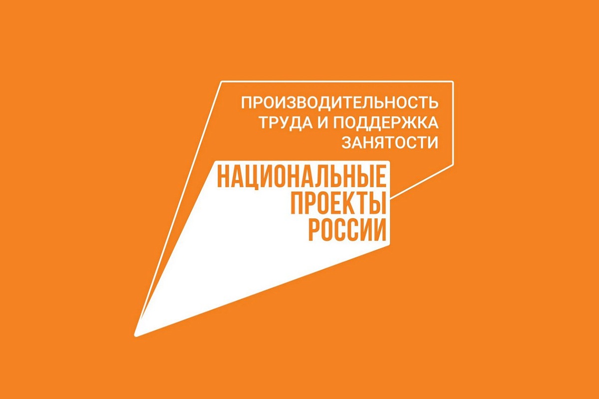 В Ставрополе по проекту «Эффективный регион» стало проще признать садовый  дом жилым